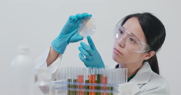 Scientist making observation of the test tube