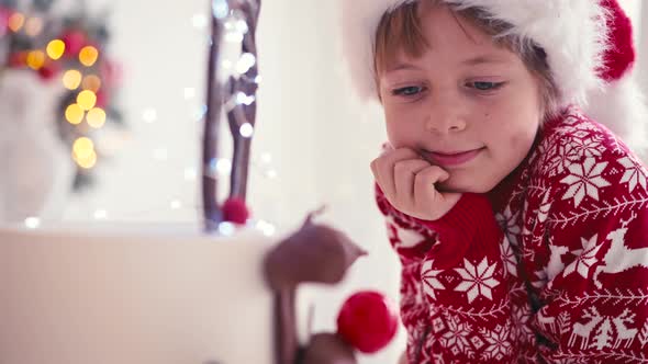 The Boy is Sitting Near the Christmas Cake