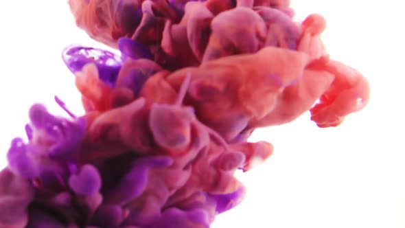 Pink and purple colors ink in water alt