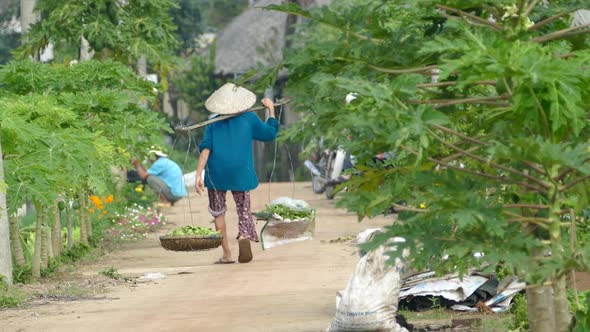 Vietnamese lady walks away at farmland at the countryside 