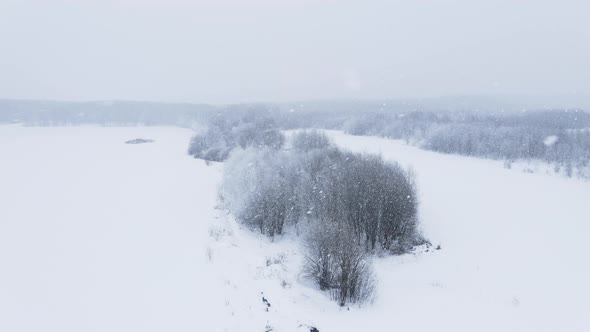 Heavy snowfall and wind in the forest in winter