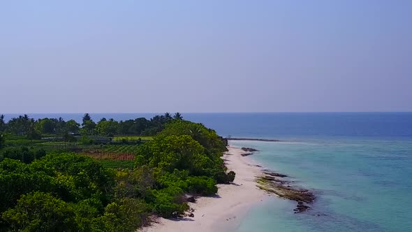 Drone aerial sky of coast beach wildlife by lagoon with sand background