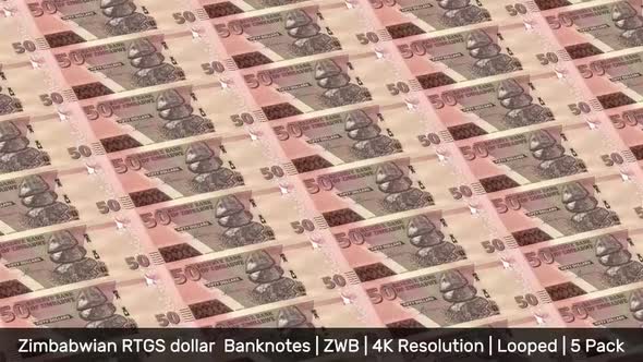 Zimbabwe Banknotes Money / Zimbabwian RTGS dollar  / Currency  / ZWB/ | 5 Pack | - 4K