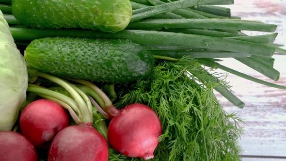 Set Vegetables for Preparation Salad Cabbage Green Onion Radish Parsley Cilantro Dill Garlic