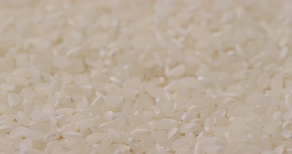 White Rice Dried and Uncooked 