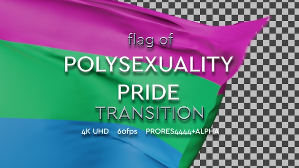 Flag of Polysexual Pride transition | UHD | 60fps