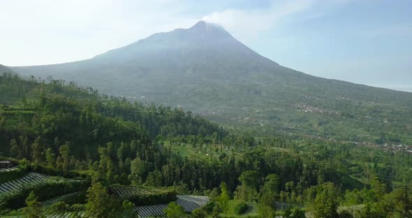 backward drone flight over the plantations and surroundings of the Merapi volcano in Java Indonesia