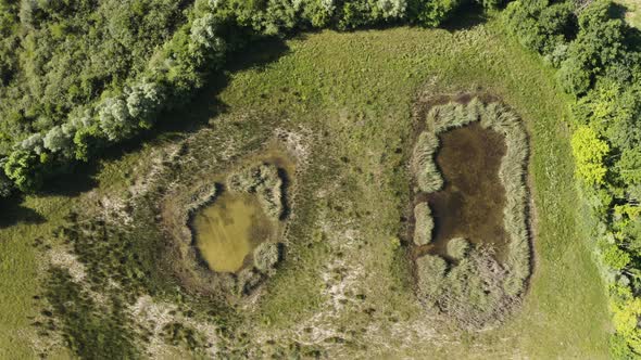 Swamps and small lakes in Gonars, Friuli Venezia Giulia, Italy