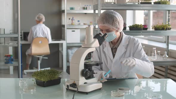 Female Scientist Doing Research in Laboratory