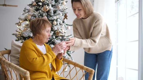 Daughter Caring About Elder Mother In Christmas Giving Her Cup Of Tea