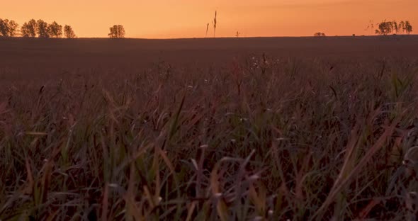 Flat Hill Meadow Timelapse at the Summer Sunrise Time