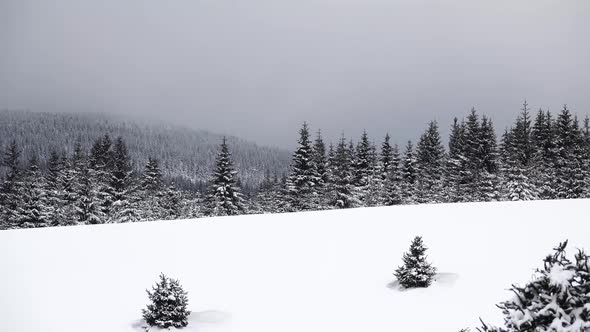 Jizera Mountains in winter. Beautiful place in the Czech Republic