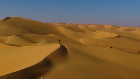 Aerial view of a man standing on the edge of dunes, U.A.E.