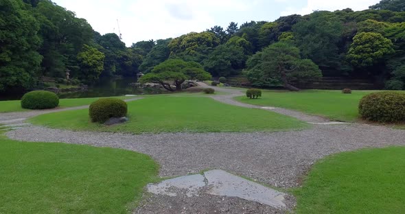 POV walking in Yoyogi park