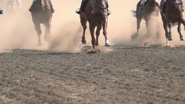 The Feet of the Horses at the Racetrack