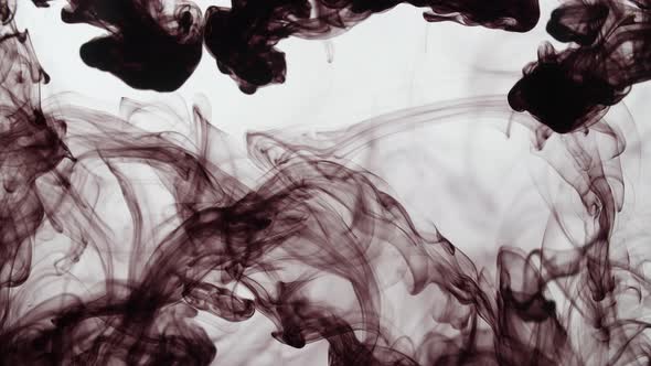 Black Ink Dissipating In Water On A White Background