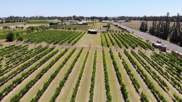 Top View of Farm