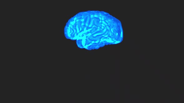 Brain Animation Rotating