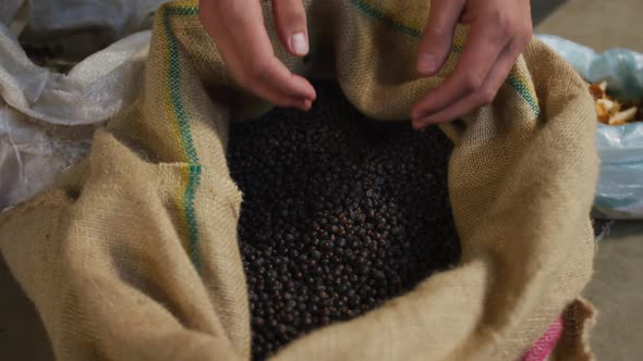 Hands of caucasian man working at gin distillery inspecting juniper berries in sack