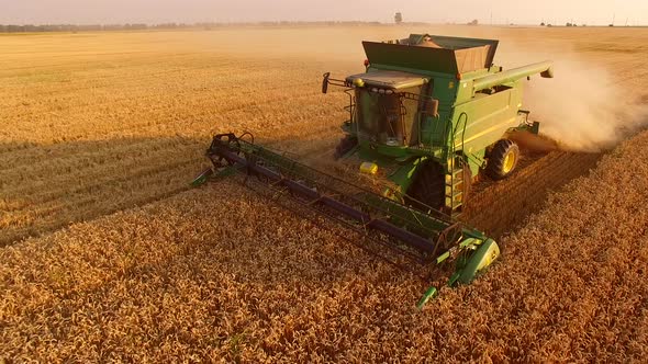 Golden Field and Combine Harvester.