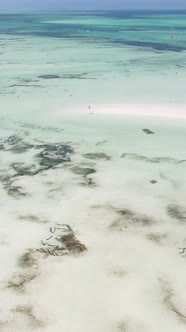 Tanzania  Vertical Video of Low Tide in the Ocean Near the Coast of Zanzibar Slow Motion