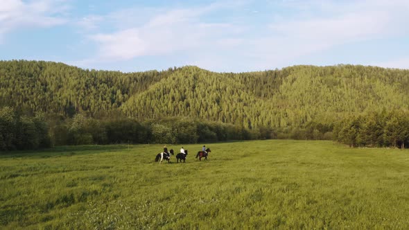 People are Riding Horses in the Field