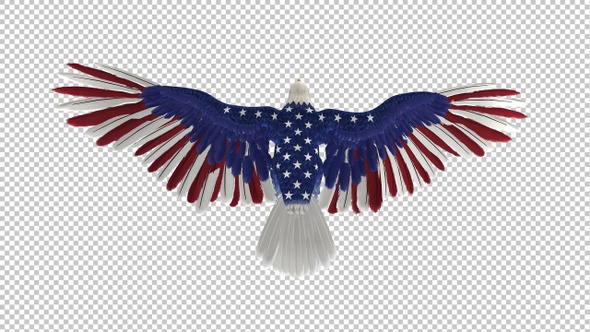 American Eagle - USA Flag - Flying Transition - VI - 4K