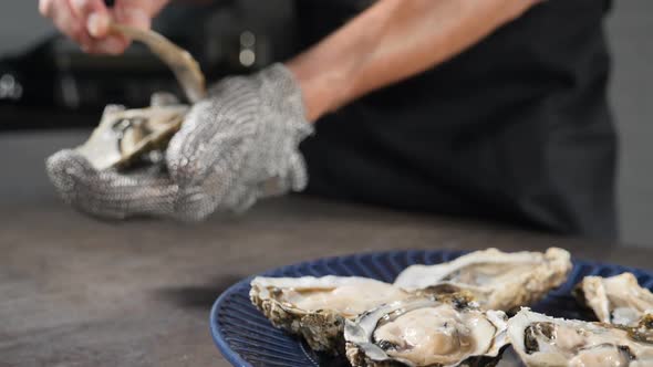 Close-up Shot of Chef Opening Fresh Oysters with Knife Wearing Protective Metal Glove. Seafood