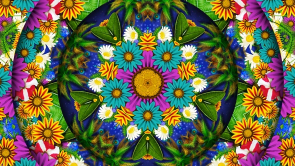 Tropical Plants Kaleidoscope