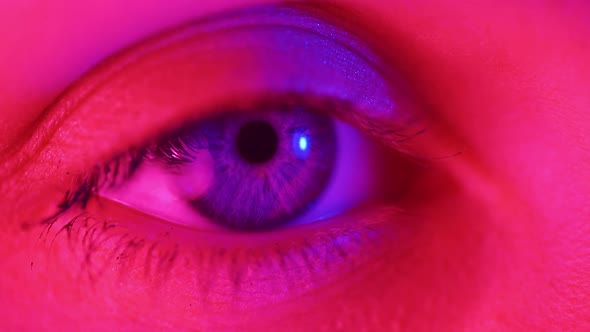 Closeup of a Blue Female Eye in Colored Lighting