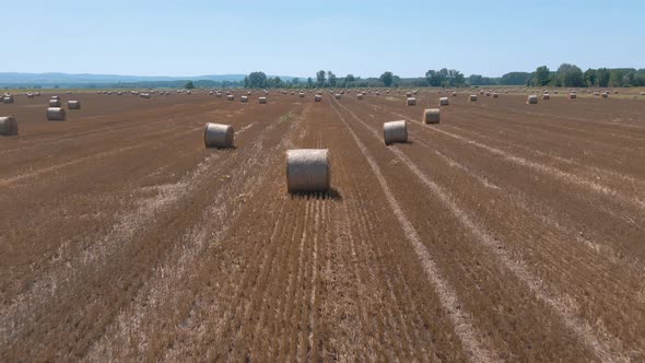 Panorama Of Straw Bales In A Field Under A Clear Blue Sky