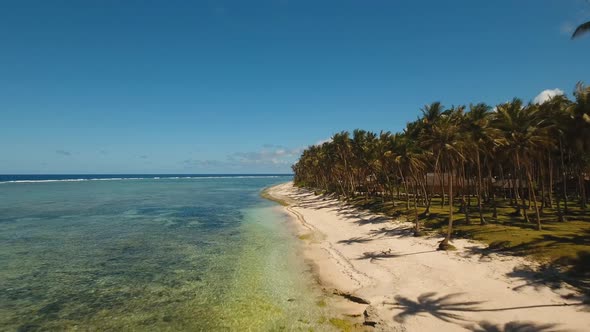 Tropical Beach with and Turquoise Sea