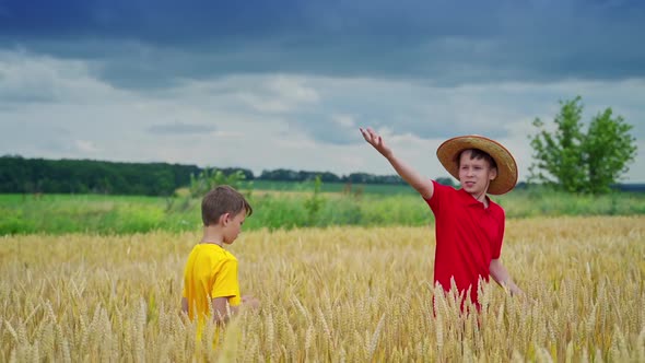 Two brothers walking in wheat field