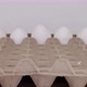 Eggs appear in the egg tray alternately - stop motion footage. - VideoHive Item for Sale