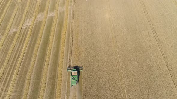 Combine Harvester on Wheat Field