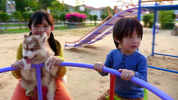 Asian Children And Siberian Husky Puppy Having Fun On Carousel