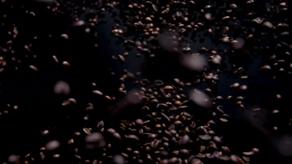 Magic View Falling Coffee Beans on Dark Background