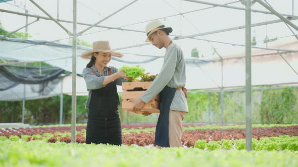 Asian young handsone male farmer work in vegetables hydroponic farm.