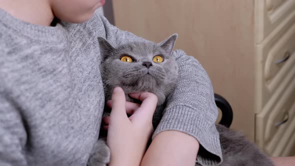 Smiling Boy Hugs a Fluffy Cat in His Arms Sitting in an Armchair in Room