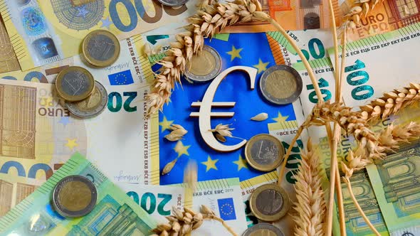 cost of wheat and flour in the EU countries. Euro bills and Grains of wheat fall on the flag