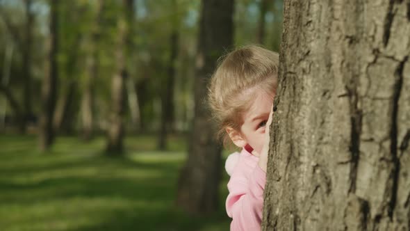 Playful Little Child Hides Behind Old Tree Trunk in Garden