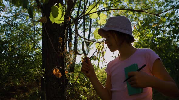 Handsome Amazed Kid Girl Naturalist Scientist Explores Plant Life Insect Life with Magnifying Glass