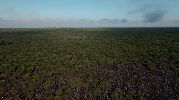 Maya jungle in Cancun, a sacred place