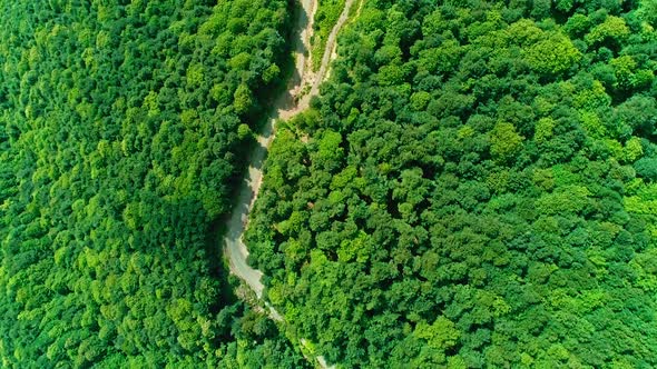 Road in the Forest Aerial View