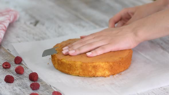 Pastry chef cutting the sponge cake, Cake production process