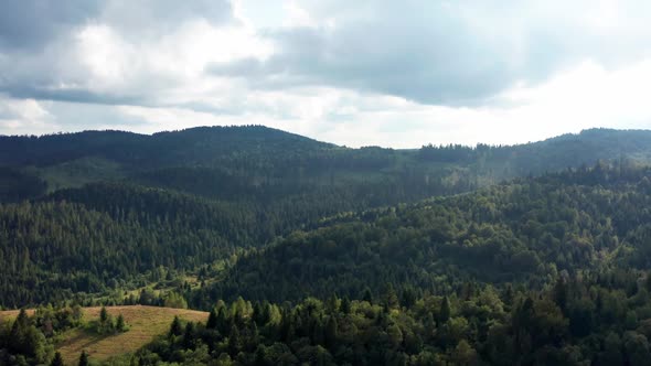 Aerial drone view of the mountains covered with green coniferous forests and meadows on the slopes