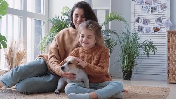 Young Mother Daughter Sweaters Sit on Floor Rug with a Dog Jack Russell and Communicate Cutely and