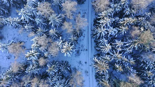 Snowy road in winter forest. Transportation in winter.