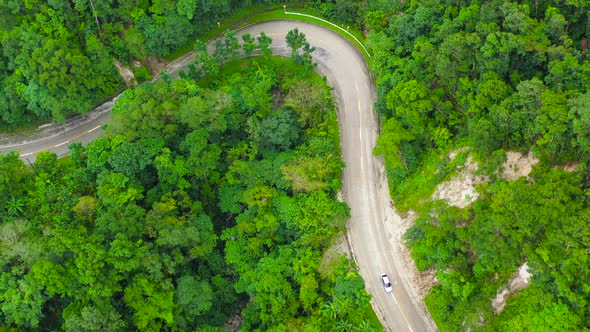 Mountain Road in Through the Forest