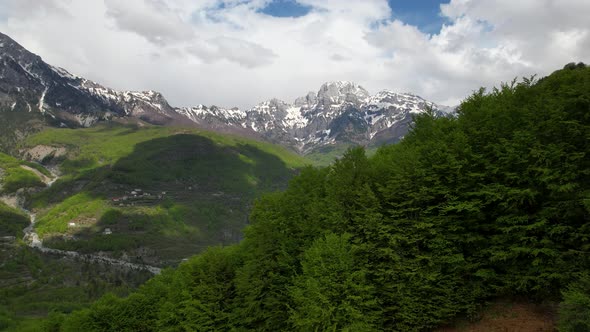 Green forest with lush vegetation covering mountains in spring